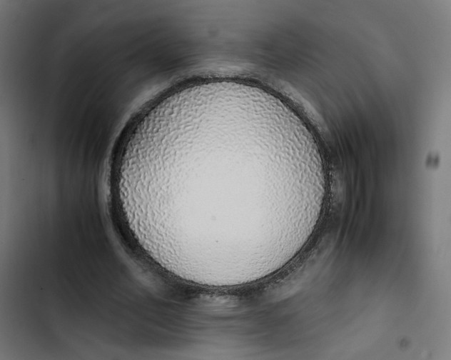 X0000103330582200809261203