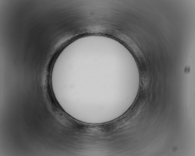 X0000103330583200809261203