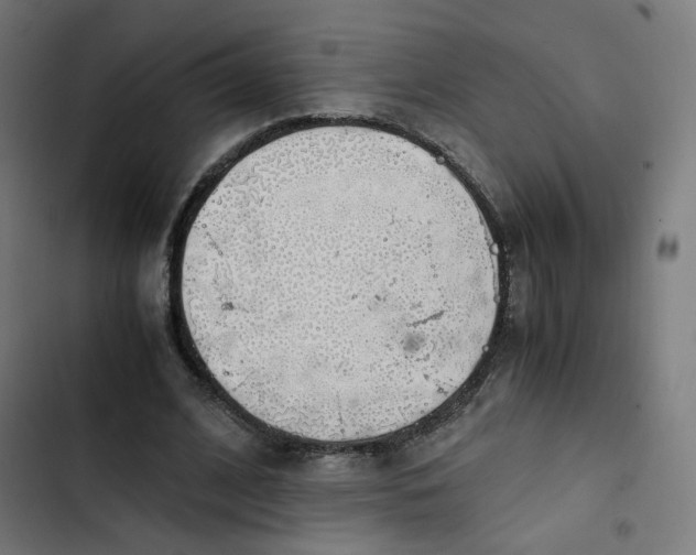 X0000103330584200809261203