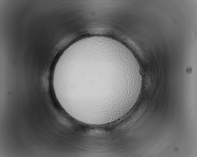 X0000103330586200809261203