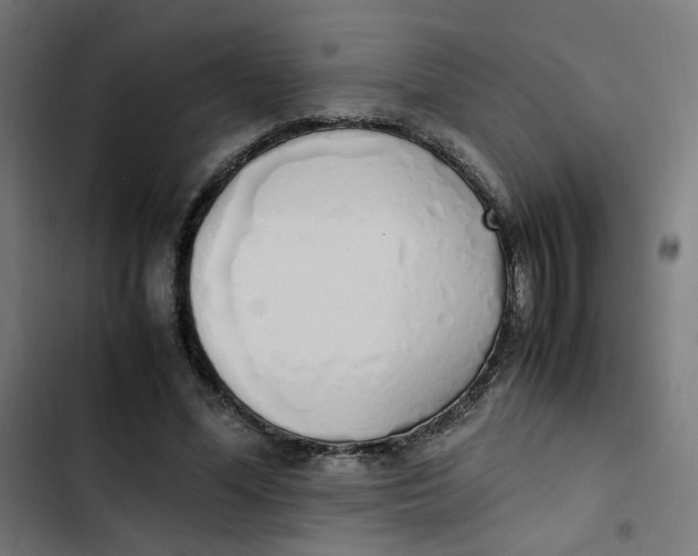 X0000103330588200809261203