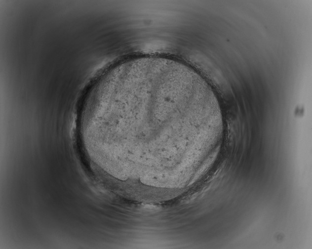 X0000103330592200809261203