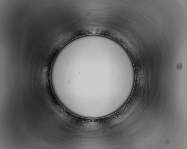 X0000103330594200809261203