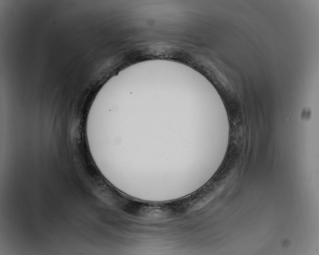 X0000103330597200809261203