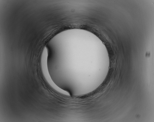 X0000103330599200809261203