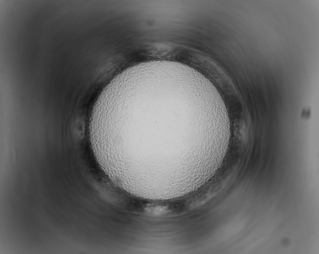 X0000103330602200809261203