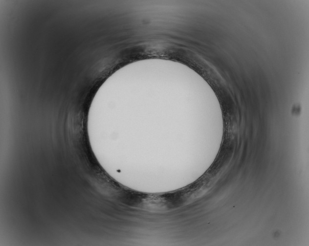 X0000103330603200809261203