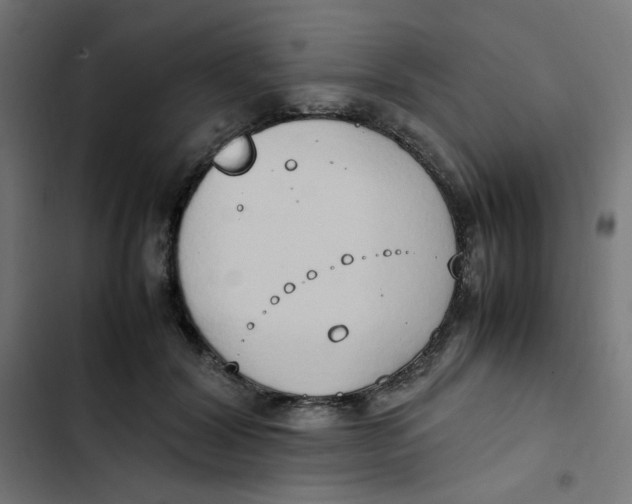 X0000103330604200809261203