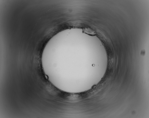 X0000103330609200809261202