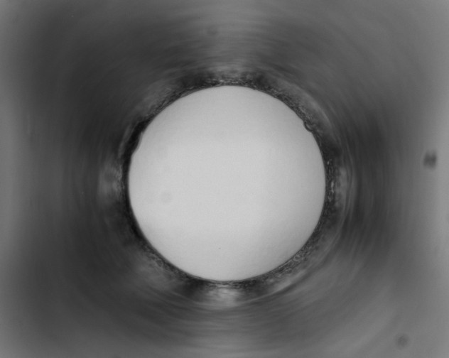 X0000103330610200809261202