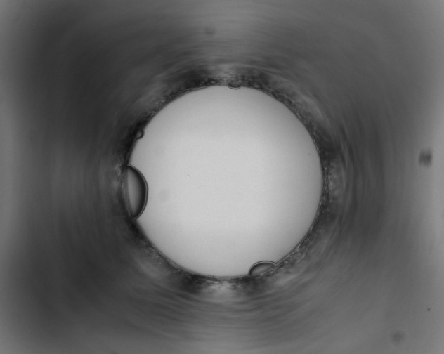 X0000103330611200809261202