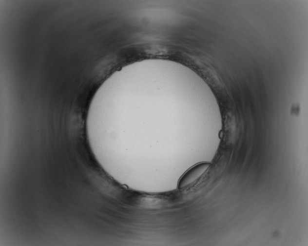 X0000103330614200809261202