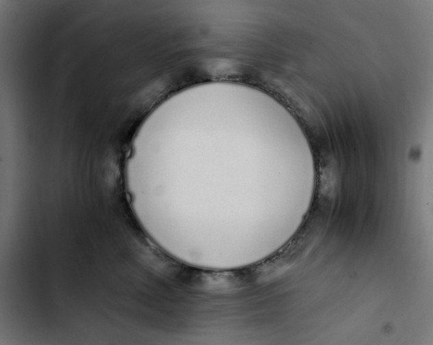 X0000103330618200809261202