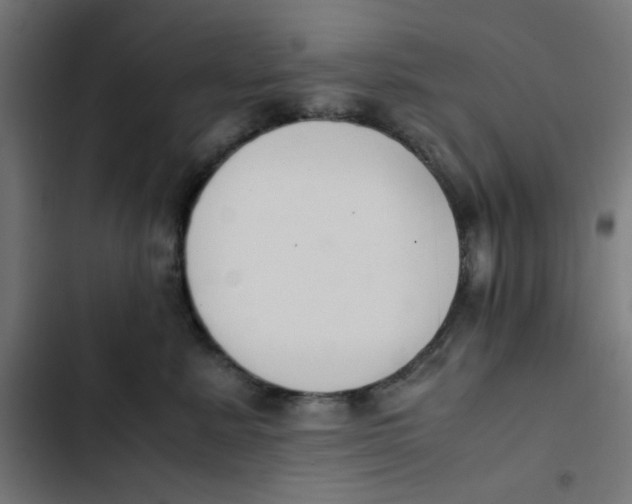 X0000103330619200809261202