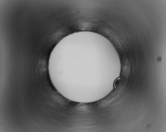 X0000103330620200809261202