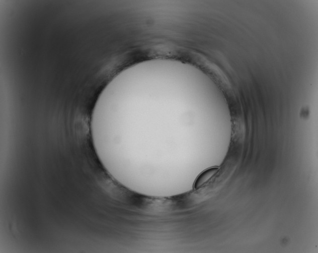 X0000103330621200809261202