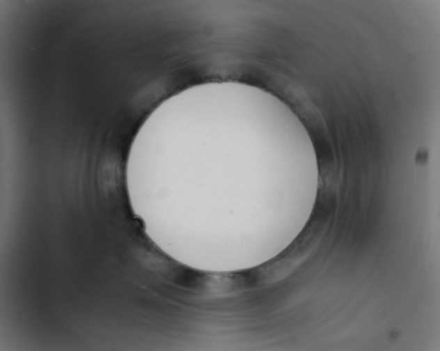 X0000103330623200809261202