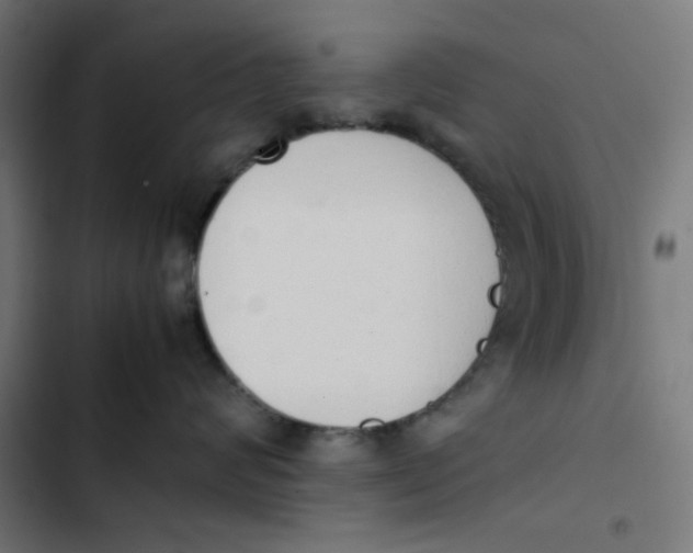 X0000103330624200809261202