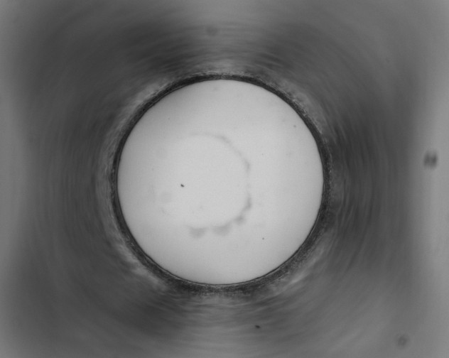 X0000103330625200809261201