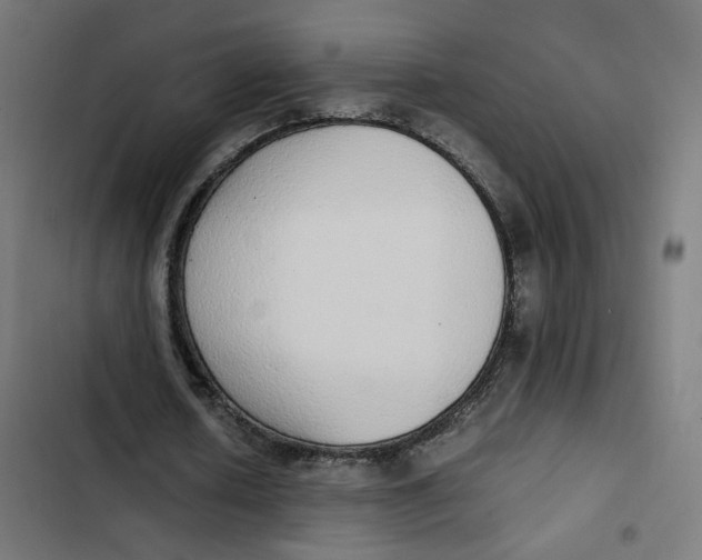 X0000103330626200809261201