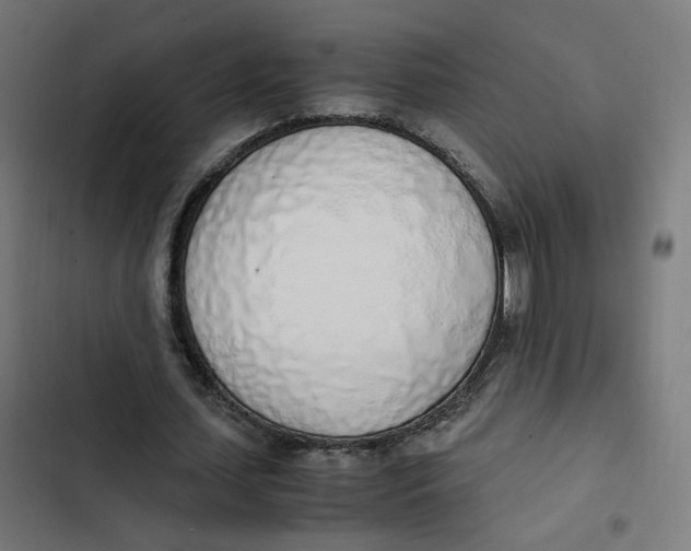 X0000103330627200809261201