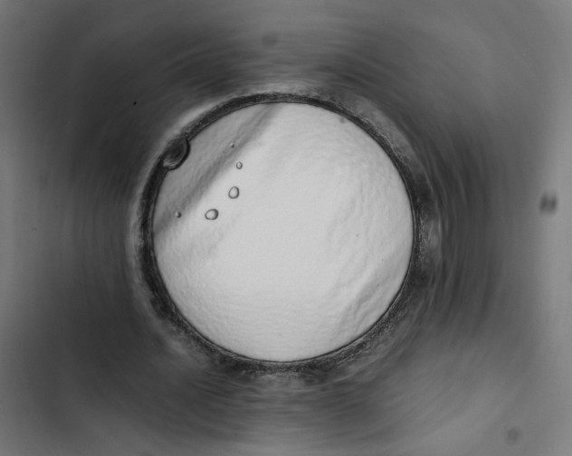 X0000103330628200809261201