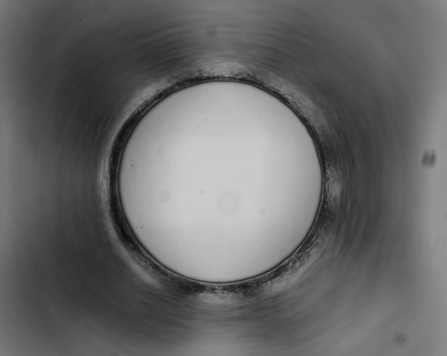 X0000103330630200809261202