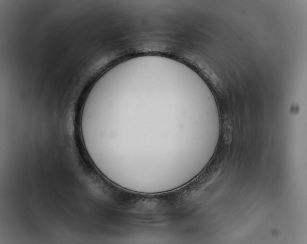 X0000103330631200809261202