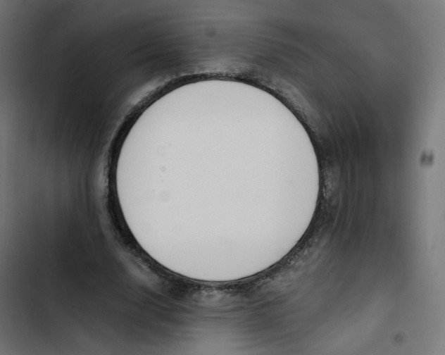 X0000103330632200809261202