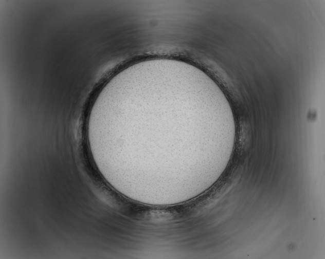 X0000103330636200809261202