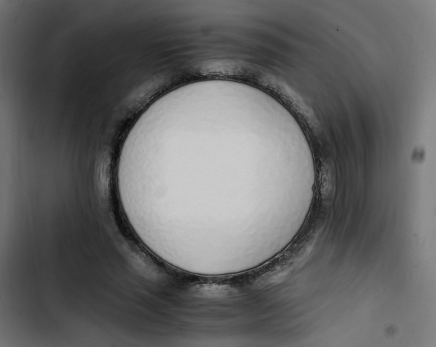 X0000103330637200809261202