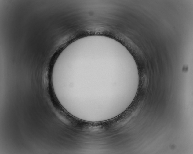 X0000103330638200809261202