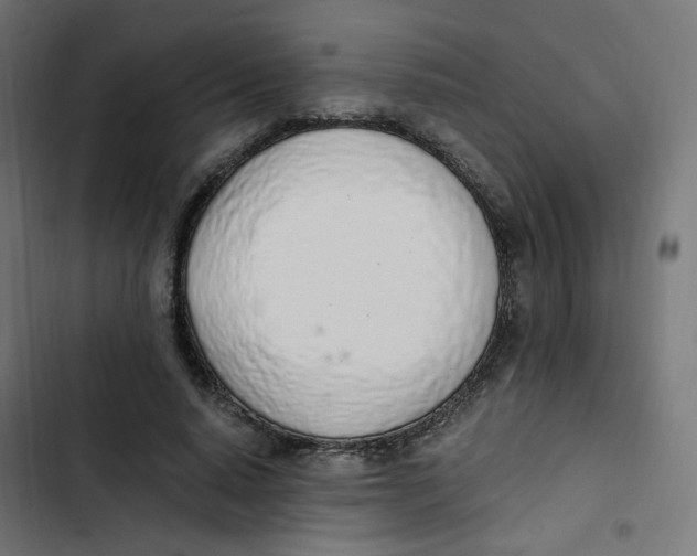 X0000103330640200809261202