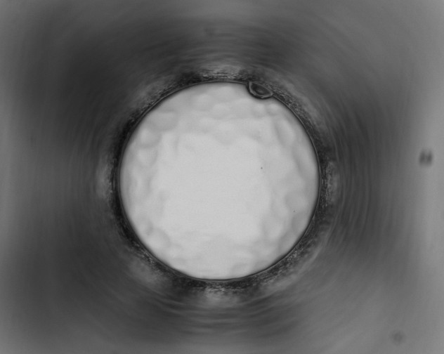 X0000103330641200809261202