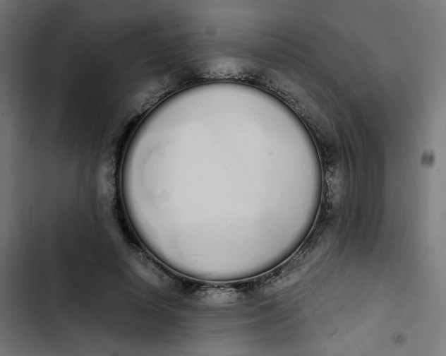 X0000103330642200809261202