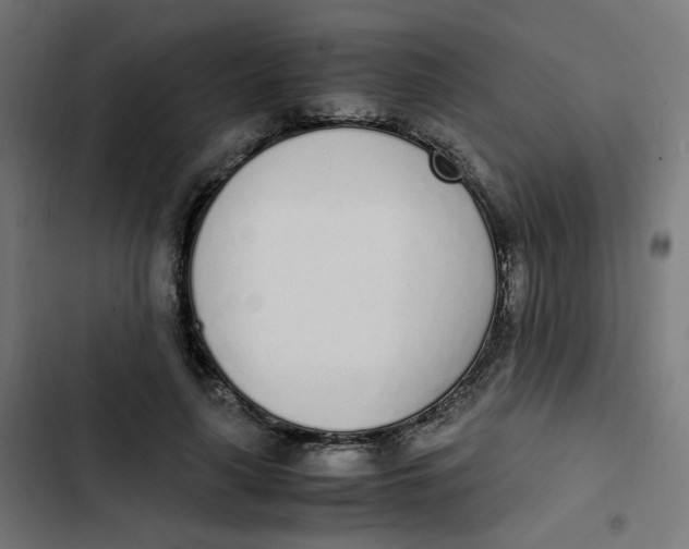 X0000103330643200809261202