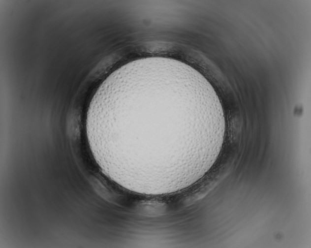 X0000103330644200809261202