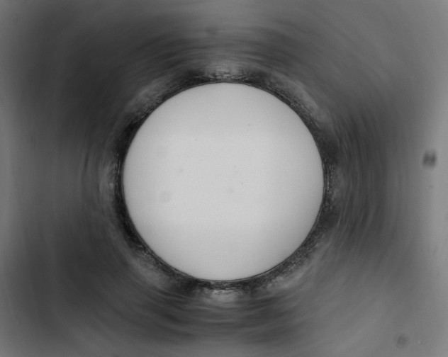 X0000103330645200809261202