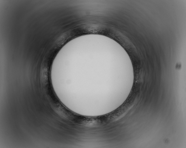 X0000103330646200809261202