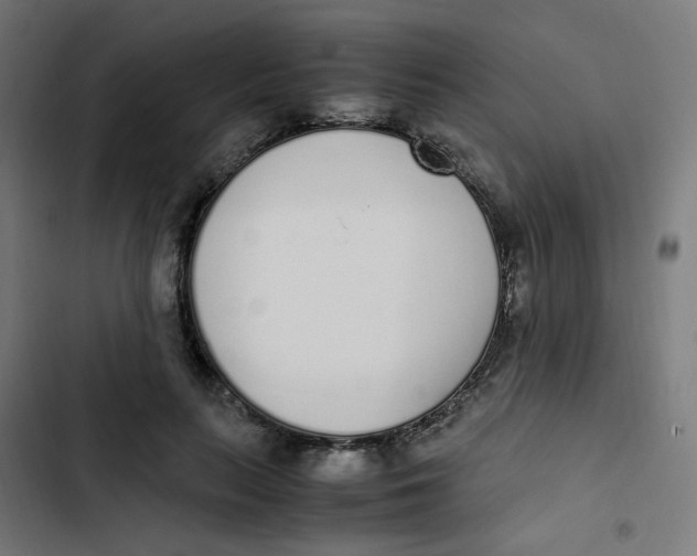 X0000103330647200809261202