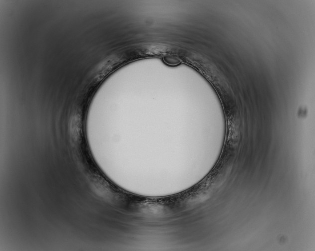 X0000103330648200809261202