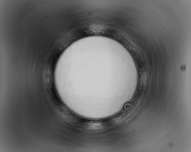 X0000103330651200809261202