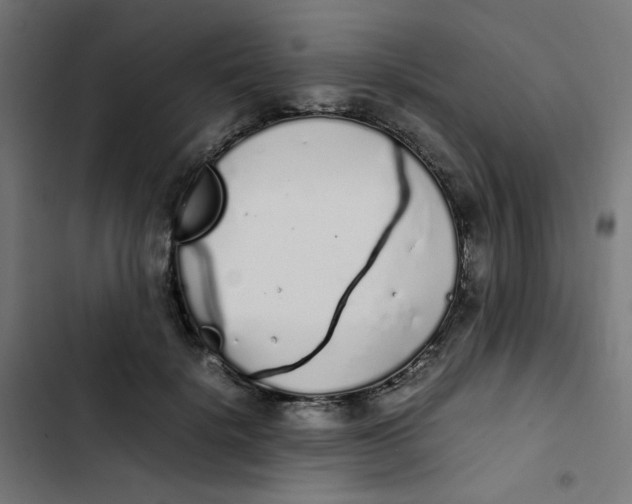 X0000103330652200809261202