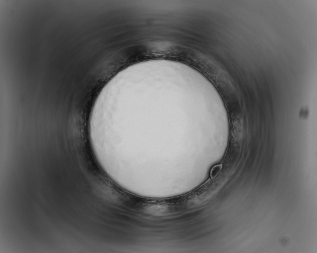 X0000103330653200809261202