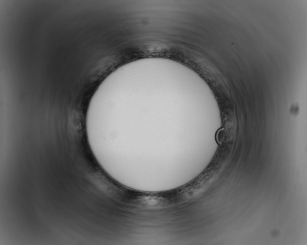 X0000103330654200809261202