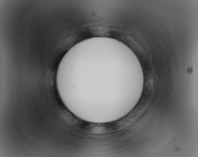 X0000103330658200809261202