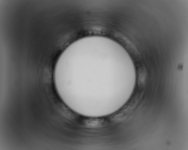 X0000103330661200809261202