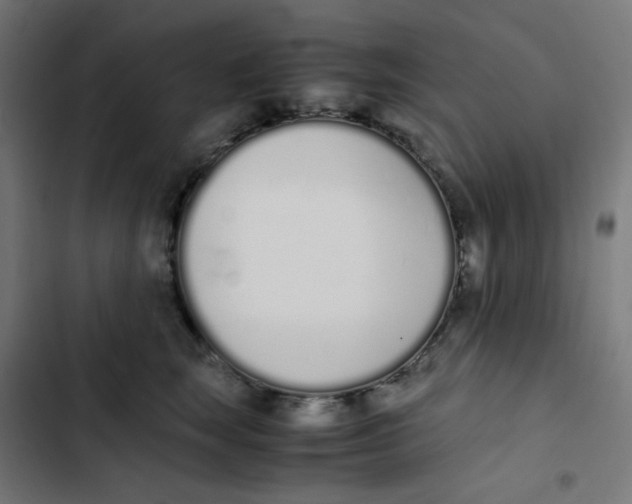 X0000103330663200809261202