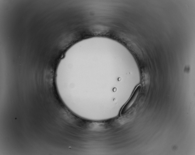 X0000103330664200809261202