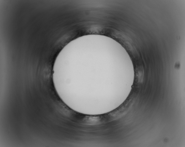 X0000103330665200809261202